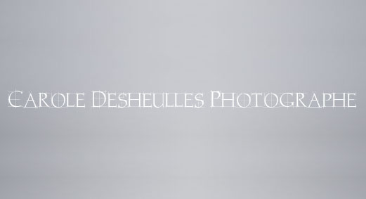 www.carole-desheulles.com